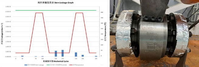 the data of M641 graphite packing in ISO15848-1