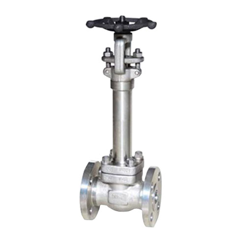 Forged Cryogenic Gate Valve