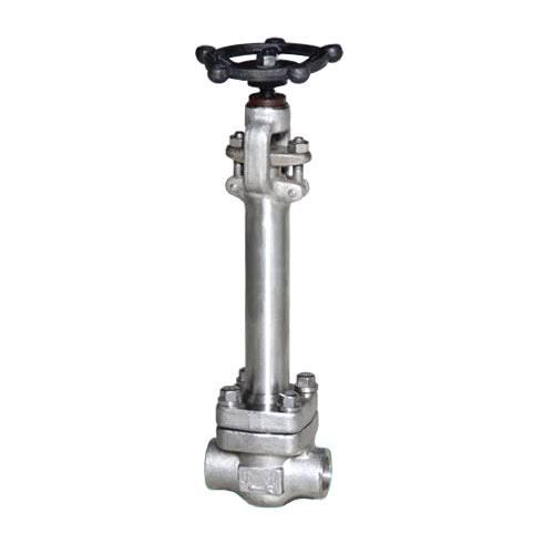 Forged Cryogenic Globe Valve