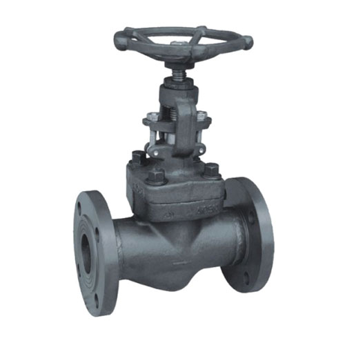 Forged Globe Valve With Flanged