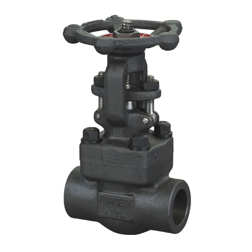 Bolted Bonnet Forged Globe Valves