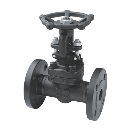 Forged Gate Valve With Flanged Ends