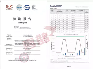 Customer test report